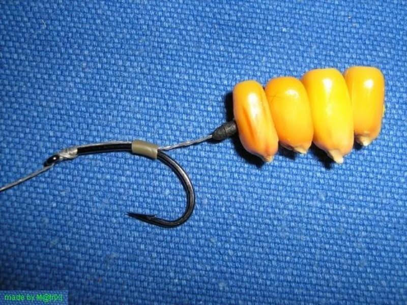 Continuare  - poza-11.JPG